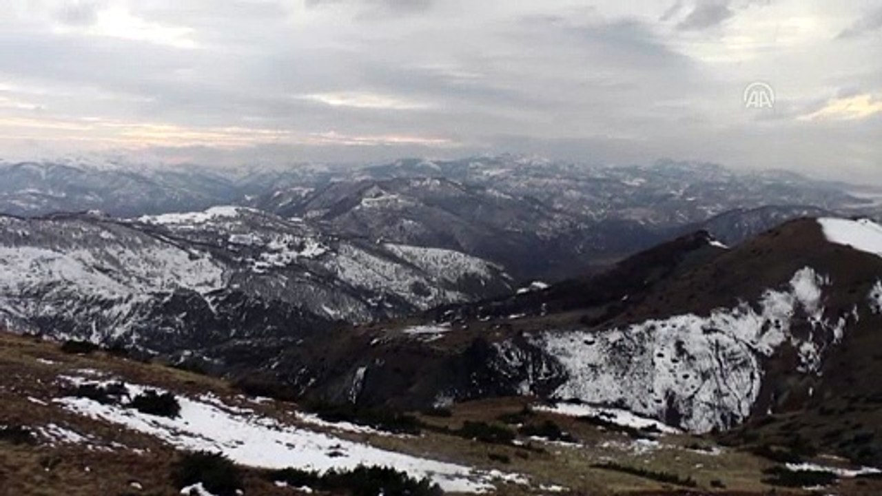 Çetin kış şartlarının yaşandığı Tunceli'de yılkı atlarının yem bulma mücadelesi - TUNCELİ