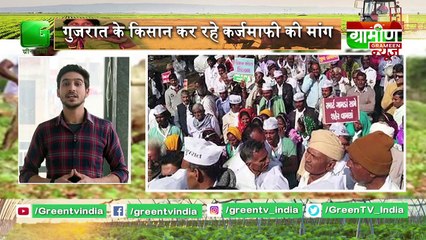 Kisan Bulletin : अब हवा में आलू उगाएंगे Kisan || Aeroponic Farming || GrameenNews