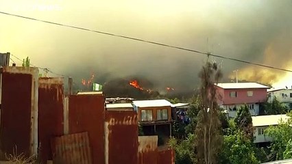 В Чили сгорели десятки домов