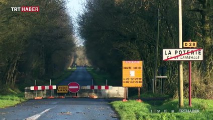 Fransa'da kurbağa göçü için bir karayolu 3 ay kapatıldı
