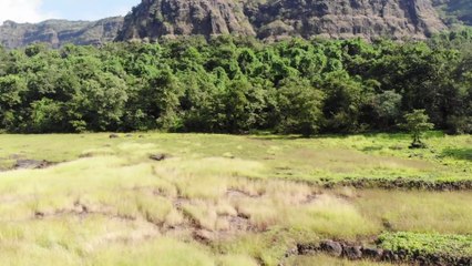 मढेघाट | Madhe Ghat Trek | Drone view |