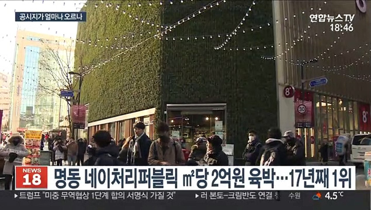 최고 땅값은…명동 중심 공시가 ㎡당 2억원 육박