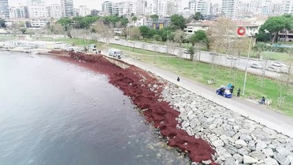 Kızıla bürünen Caddebostan sahil havadan görüntülendi