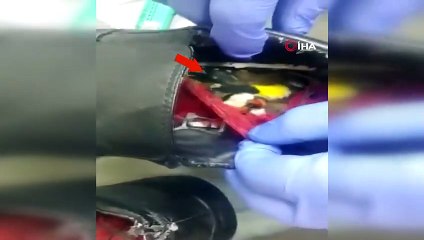 Giydiği ayakkabının içine 8 nadir kuş sakladı!