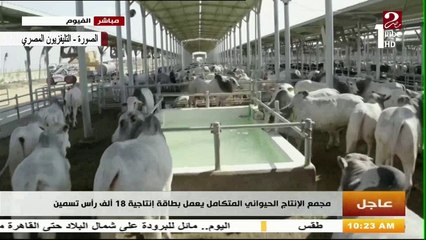 شاهد ماذا قال الكاتب الصحفي علي السيد عن تركيا وليبيا