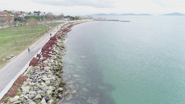 Caddebostan Sahili kızıla büründü