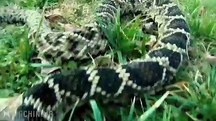 The Far Cry Experience / Episódio 1 / Legendado em PT-BR