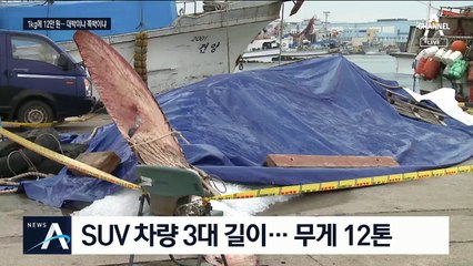 제주 해상서 발견 된 13m 대형 고래…로또냐, 꽝이냐