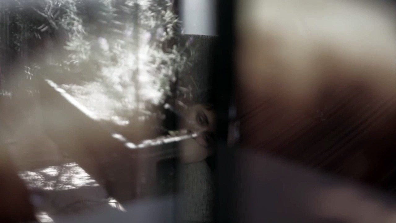 cao guimarães - otto (trailer)