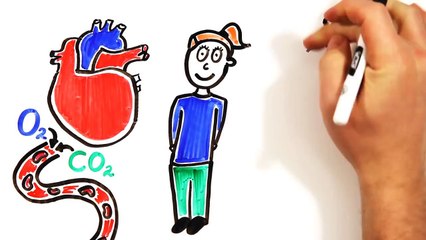 The Scientific Power of Meditation