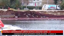 İstanbul-caddebostan sahilini kırmızı yosunlar sardı - 3