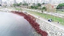 Kızıla bürünen Caddebostan sahil havadan görüntülendi