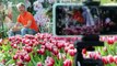 Tourists admire thousands of colourful tulips in bloom during the cooler winter in Thailand
