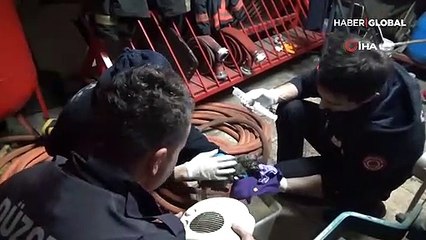 İtfaiye erlerinin mücadelesi yavru kediyi hayata döndürdü