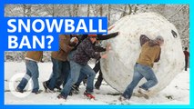 Wisconsin city to allow snowball fights after 50-year ban