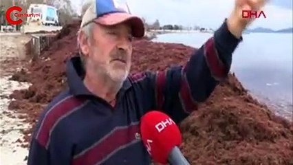 Yer: İstanbul... Sahil kızıla büründü!