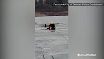 Dog gets rescued after falling through ice on Christmas eve