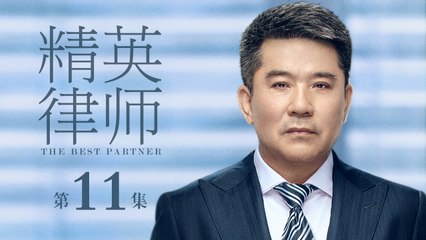 精英律師 11 | The Best Partner 11（靳東、藍盈瑩、孫淳等主演）
