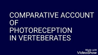 Comparative account of Photoreceptors in Verteberates For B.sc M.sc NEET zoology