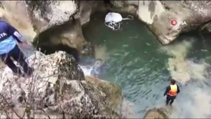 Kastamonu’da Horma Kanyonu'nda suya düşen karaca kurtarıldı