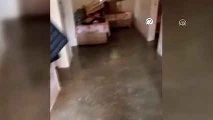 Tek geçim kaynağı tavuklar sel sularında telef oldu