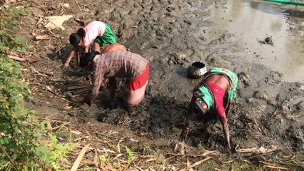 Indian Girls Hand Fishing ! Best Fishing Video by Natural Fishing and Village
