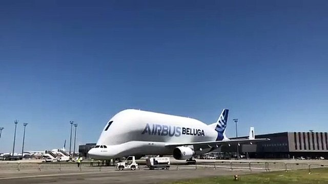 Airbus muestra el primer vuelo del nuevo avión carguero Beluga XL