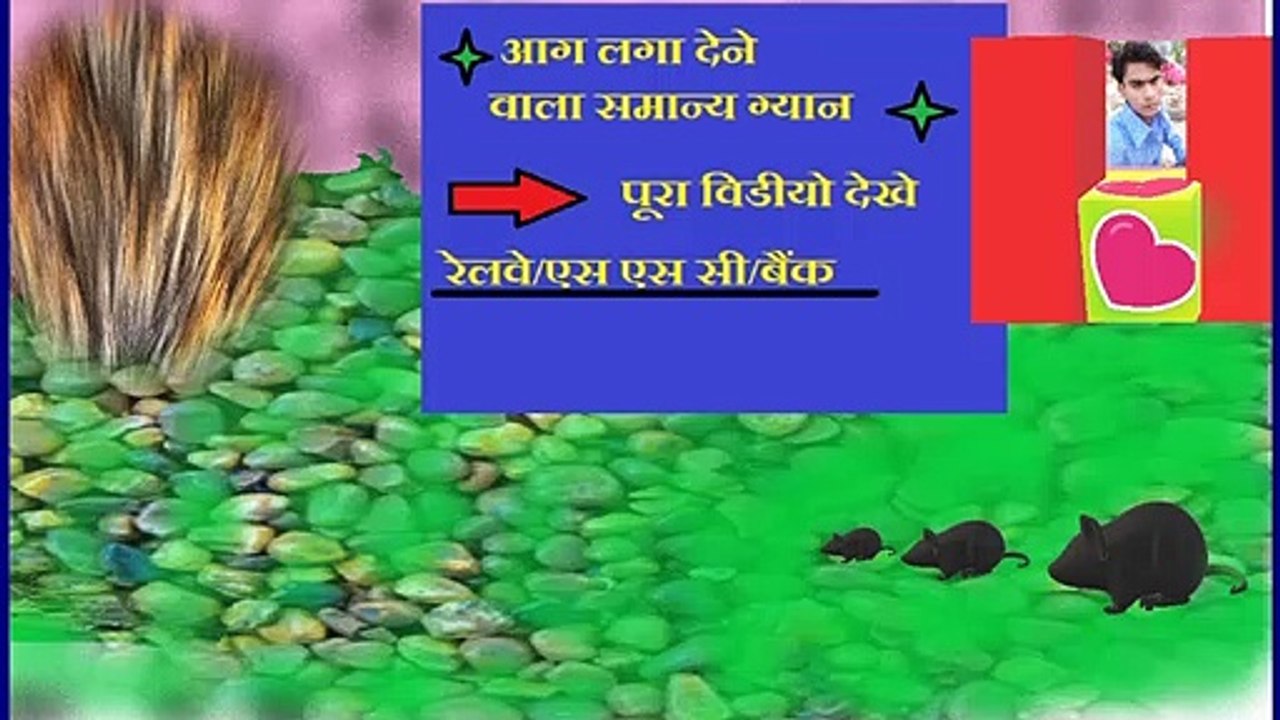 gk,arthvyavastha gk part - 1,gk tricks, science gk,railway gk,ntpc gk, group d gk, ssc gk, all gk, most gk,
