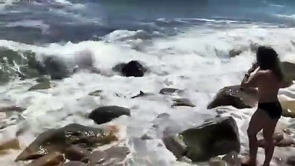 Esta adolescente salva un tiburón agarrándolo con sus manos desnudas