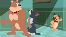 Tom & Jerry | Say Cheese! | Classic Cartoon Compilation / Best Animated Movie Scenes - Tom and Jerry Spy Quest 2019