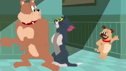 Tom & Jerry | Say Cheese! | Classic Cartoon Compilation / Best Animated Movie Scenes - Tom and Jerry Spy Quest 2019