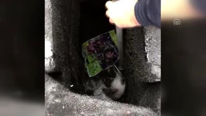 Evin bacasında mahsur kalan tavşan itfaiye ekiplerince kurtarıldı