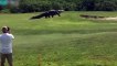 Este campo de golf en Florida es conocido como el nuevo "Jurassic Park" por sus feroces moradores