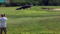 Este campo de golf en Florida es conocido como el nuevo 