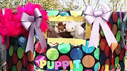 High Heels, Low Standards Trailer with Ron Jeremy & Eric Roberts