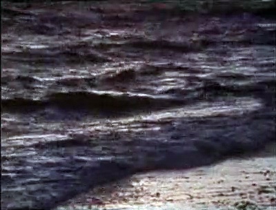 Short from the past - Ταινίες