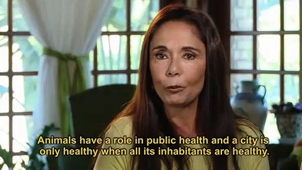 A Questão Animal: A História do Bem Estar Animal