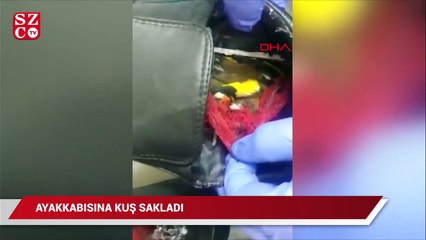 Ayakkabısına kuş saklayarak gümrükten geçirmek istedi