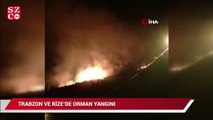 Trabzon ve Rize’de orman yangını