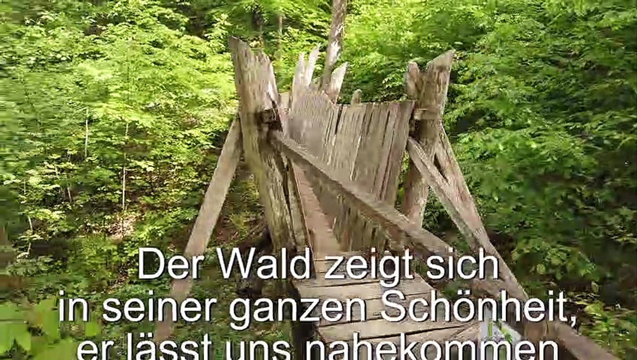 Zum Sinneswandel 3 (HP Velotechnik Scorpion FS26)