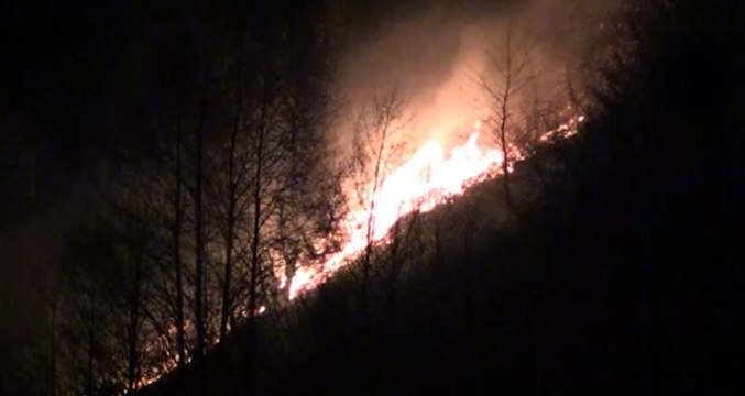Karadeniz 3 gündür yanıyor! Trabzon ve Rize'de yeni orman yangınları çıktı