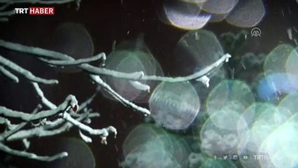 Ankara'da kar etkili oluyor