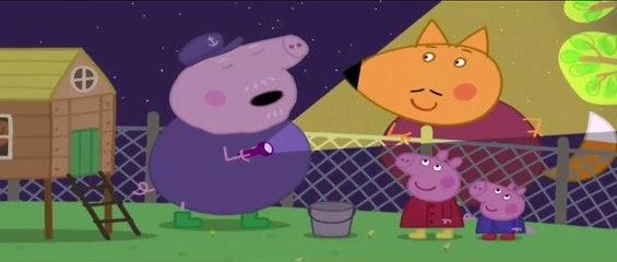 Pepa Prase - Nocne zivotinje