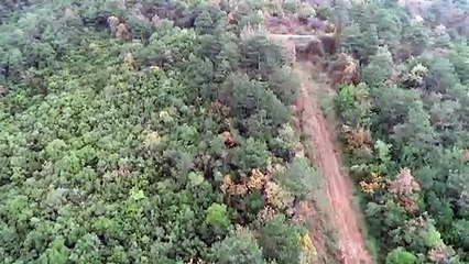 Orman yangınlarıyla mücadele