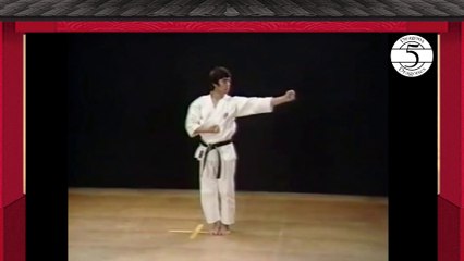 19- Chinte - Kata Shotokan Karate