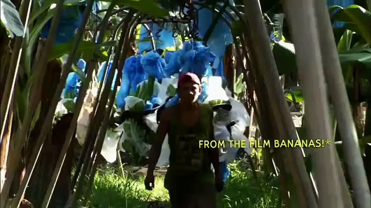 IDFA 2011 | Trailer |  Big Boys Gone Bananas!*