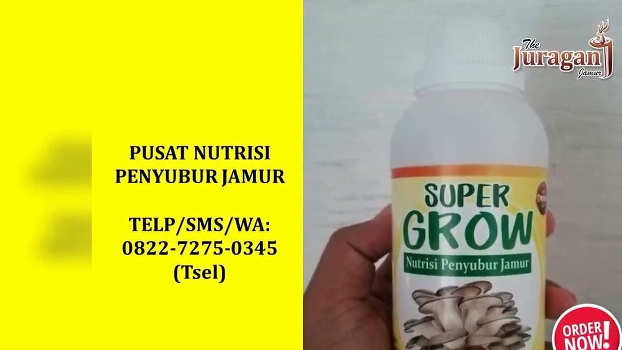 TERMURAH! TELP/SMS/WA : 0822-7275-0345 (Tsel), Grosir Nutrisi Memperbesar Jamur Tiram Denpasar Bali,