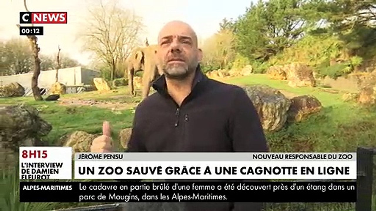 L'association "Rewild" vient de récolter plus de 600.000 euros pour acheter le zoo de Pont-Scorff, dans le Morbihan et en faire un lieu unique