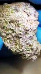 Así es el meteorito más antiguo jamás hallado que contiene restos del inicio del Sistema Solar