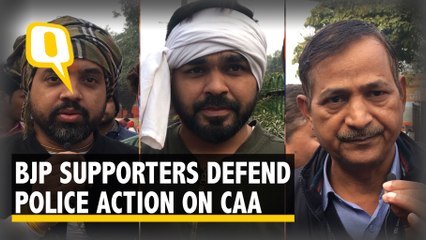 Download Video: 'CAA-NRC Protesters Defaming India': BJP Supporters Defend Police Action